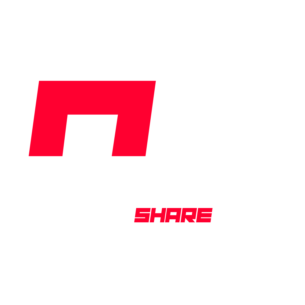 assettoshare.com